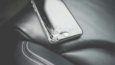 impact on digital evolution
